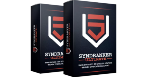 Read more about the article Syndranker Review
